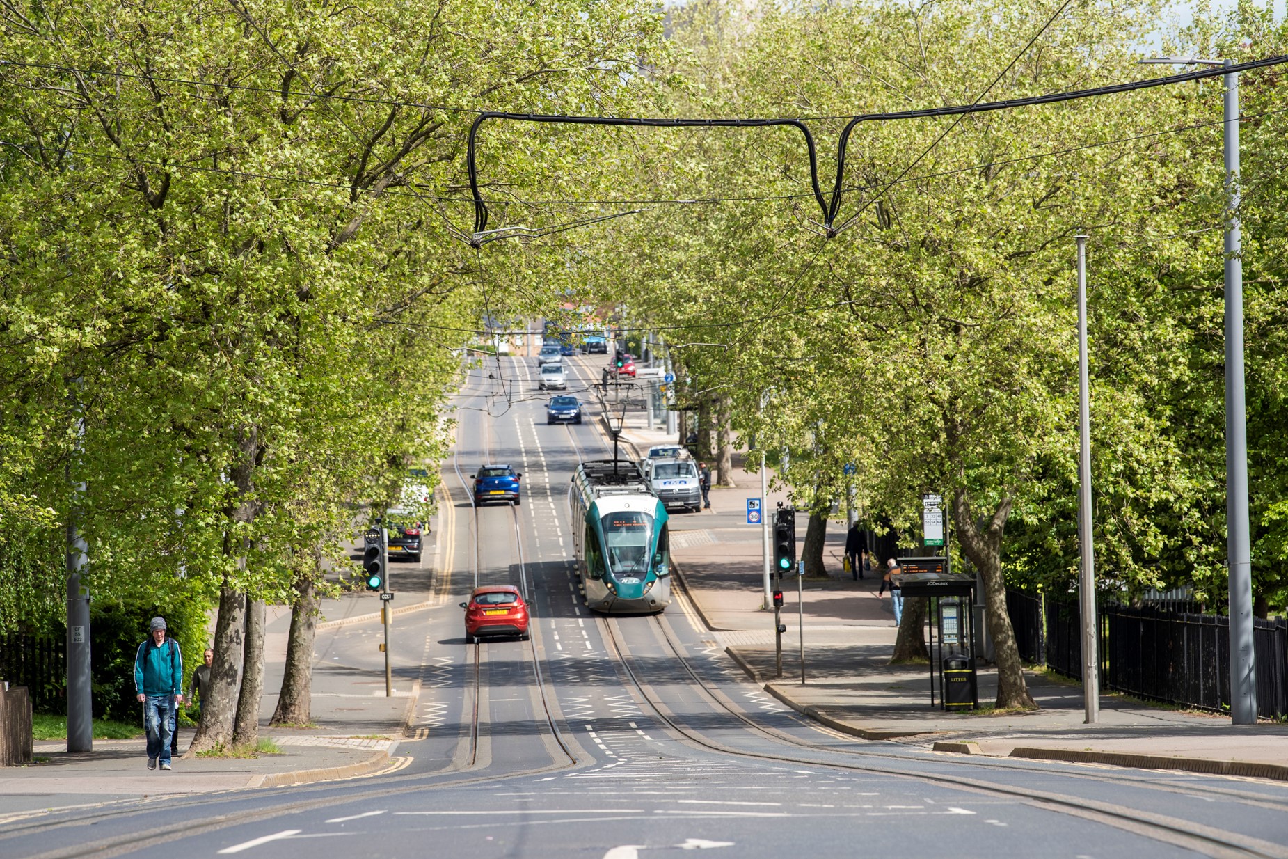 A road lined with trees, few cars and a tram