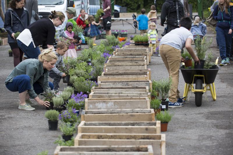 Community in London gardening together